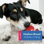 KONG Classic Durable Natural Rubber Dog Toy