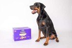 Chewdles Dog Biscuit Variety Pack - 10kg