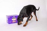 Chewdles Dog Biscuit Variety Pack - 10kg