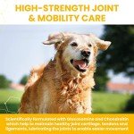Vetzyme Joint Supplements for Senior Dogs - 90 Tablets