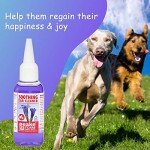 Quistel Soothing Dog Ear Cleaner Drops - 50ml