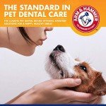 Arm & Hammer Banana Mint Dog Dental Kit