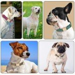 YUDOTE Soft Cotton Dog Collar for Small Dogs