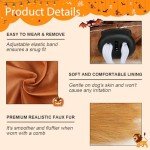 Adjustable Brown Dog Lion Mane Costume