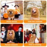 Adjustable Brown Dog Lion Mane Costume