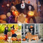Adjustable Brown Dog Lion Mane Costume