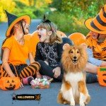 Adjustable Brown Dog Lion Mane Costume