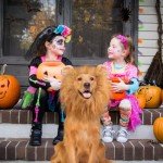 Adjustable Brown Dog Lion Mane Costume