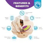 Nina Ottosson Treat Maze Interactive Dog Puzzle Toy