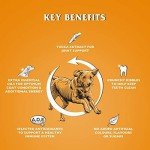 John Gold Chicken & Veg Dry Dog Food 15kg