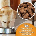 John Gold Chicken & Veg Dry Dog Food 15kg