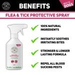 Natural Flea and Tick Spray for Dogs - 500ML