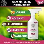 Natural Flea and Tick Spray for Dogs - 500ML