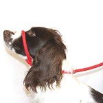 Figure 8 No-Pull Dog Lead and Halter - Red