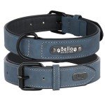 Personalized Soft Leather Dog Collar with Nameplate