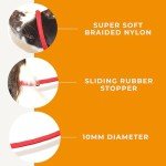 Figure 8 No-Pull Dog Lead and Halter - Red