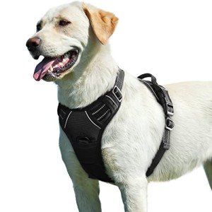 Eagloo Reflective No-Pull Dog Harness, Large