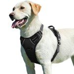 Eagloo Reflective No-Pull Dog Harness, Large