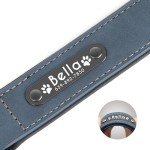 Personalized Soft Leather Dog Collar with Nameplate