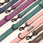 Personalized Soft Leather Dog Collar with Nameplate