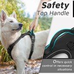 Eagloo Reflective No-Pull Dog Harness, Large