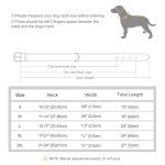 Personalized Soft Leather Dog Collar with Nameplate