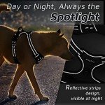 Eagloo Reflective No-Pull Dog Harness, Large