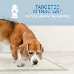 Eco-Friendly Dog Pee Pads - 50 Count Pack