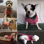 Stylish Winter Dog Sweater for XS-L Dogs