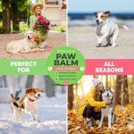 Paw Nectar Natural Dog Paw Balm - 2 Oz