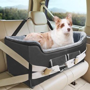 Large Dog Booster Car Seat with Seat Belt
