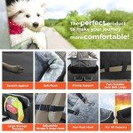 Large Dog Booster Car Seat with Seat Belt