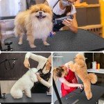 Foldable 32" Dog Grooming Table with Storage