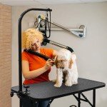 Foldable 32" Dog Grooming Table with Storage