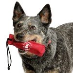 Canvas Training Dummy for Dogs - Medium Size