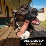 Nylon Dog Chew Toy TrioBone for Large Dogs