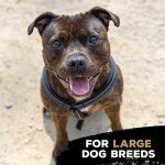 Nylon Dog Chew Toy TrioBone for Large Dogs