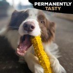 Nylon Dog Chew Toy TrioBone for Large Dogs