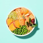 Pooch & Mutt Salmon Sweet Potato Joint Care Dog Food