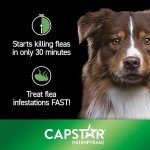 Capstar Flea Tablets for Medium to Large Dogs
