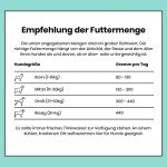 Pooch & Mutt Salmon Sweet Potato Joint Care Dog Food