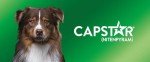 Capstar Flea Tablets for Medium to Large Dogs