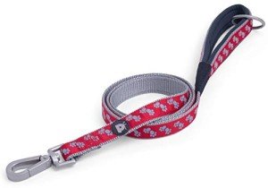 Petface Signature Padded Dog Lead - Medium Red