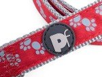 Petface Signature Padded Dog Lead - Medium Red