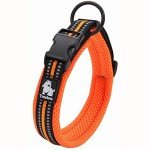 Reflective Nylon Dog Training Collar - Orange (M)