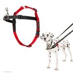 Halti Medium Anti-Pull Dog Harness for Training