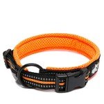Reflective Nylon Dog Training Collar - Orange (M)