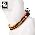 Reflective Nylon Dog Training Collar - Orange (M)