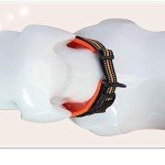 Reflective Nylon Dog Training Collar - Orange (M)