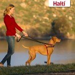 Halti Medium Anti-Pull Dog Harness for Training